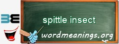 WordMeaning blackboard for spittle insect
